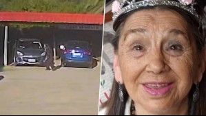 Incongruencias en testimonios y un garzón que no declaró: Los nuevos antecedentes del caso de María Ercira