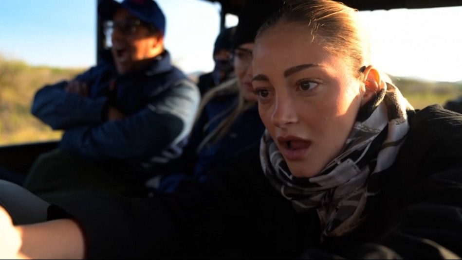 Programación de Mega para este domingo 23 de noviembre: ¡Vive Sudáfrica junto a los Araneda Vacarezza!