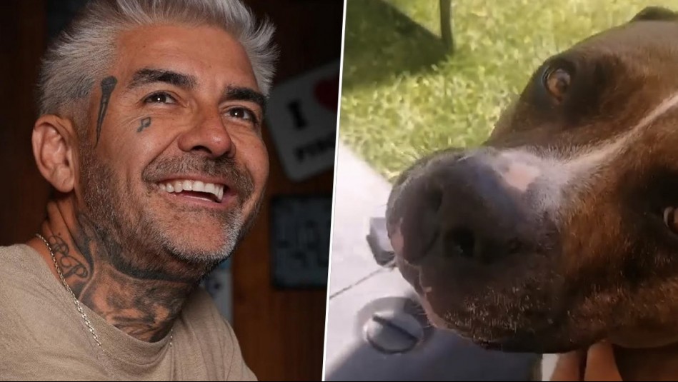 Dj Méndez mostró cómo se encuentra su perrita Mara tras ser atropellado junto a él en Isla de Maipo