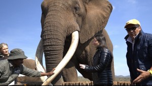 Avance de Vive Sudáfrica: Los Araneda Vacarezza conocerán a un cazador de serpientes