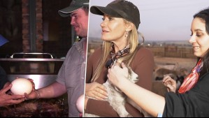 Vive Sudáfrica - Capítulo 6: La granja de Justin y los diversos sabores