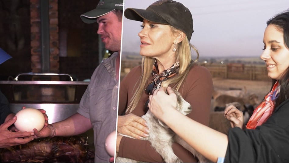 Vive Sudáfrica - Capítulo 6: La granja de Justin y los diversos sabores