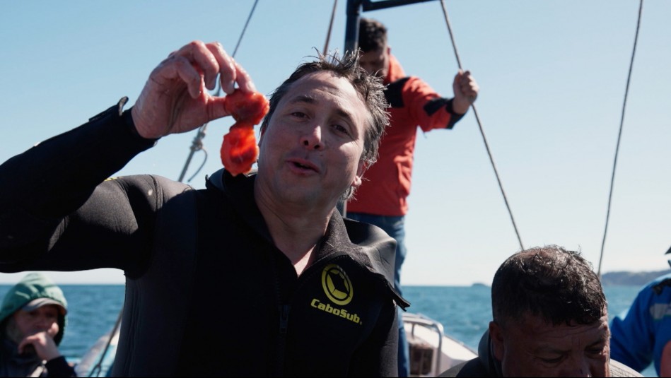 Del Mar al Paladar - Temporada 2 - Capítulo 1: El piure, un tesoro del mar chileno