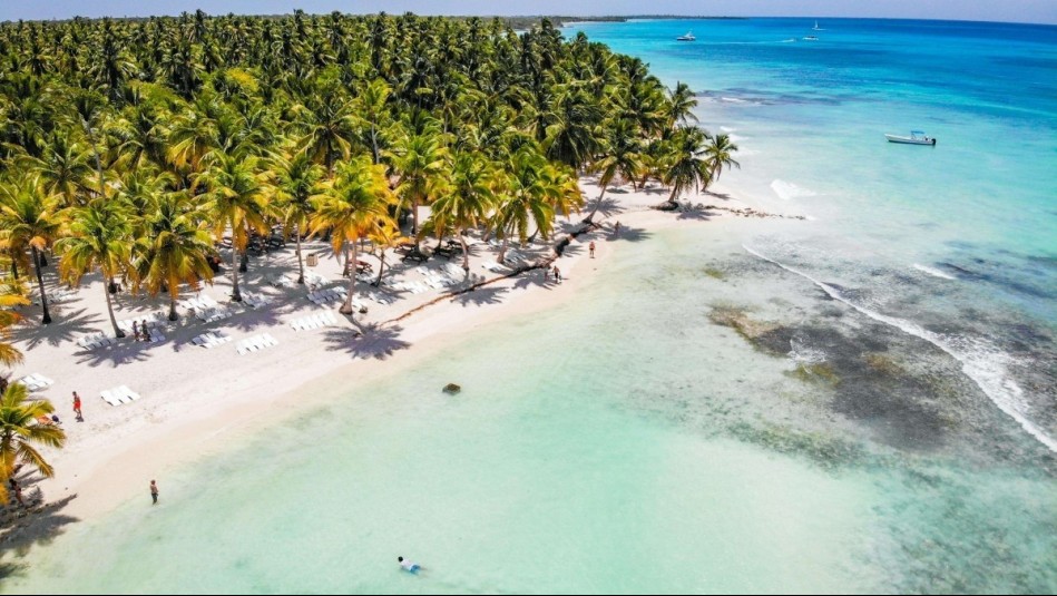 Por Black Friday: Despegar y Mega realizarán nuevo Live Shopping con concursos y descuentos exclusivos