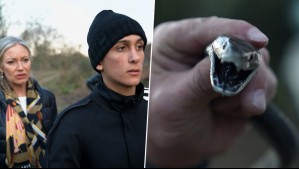 ¡Pasaron susto! Los Araneda Vacarezza se enfrentaron a la serpiente más peligrosa del mundo