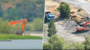 Búsqueda de María Ignacia González se estrecha: Se habrían descartado tres puntos de interés en río Loncomilla