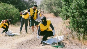 Fundación Reforestemos y Marley Coffee convocan a voluntarios para jornada de restauración ecológica