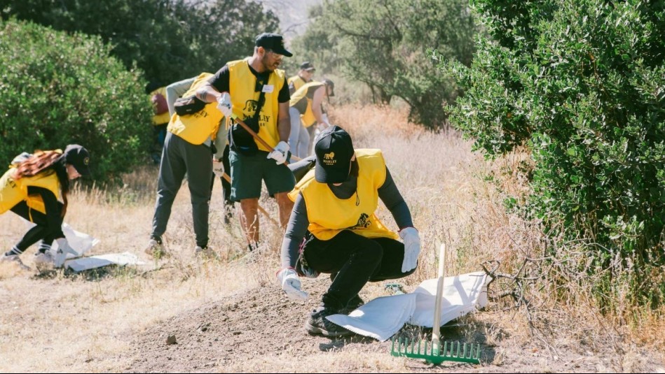 Fundación Reforestemos y Marley Coffee convocan a voluntarios para jornada de restauración ecológica