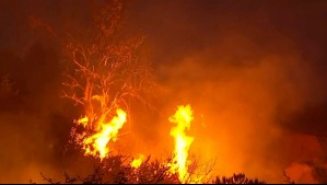 Más de 1.800 hectáreas arrasadas por incendio forestal en San Pedro: Nube de humo cubre a la RM