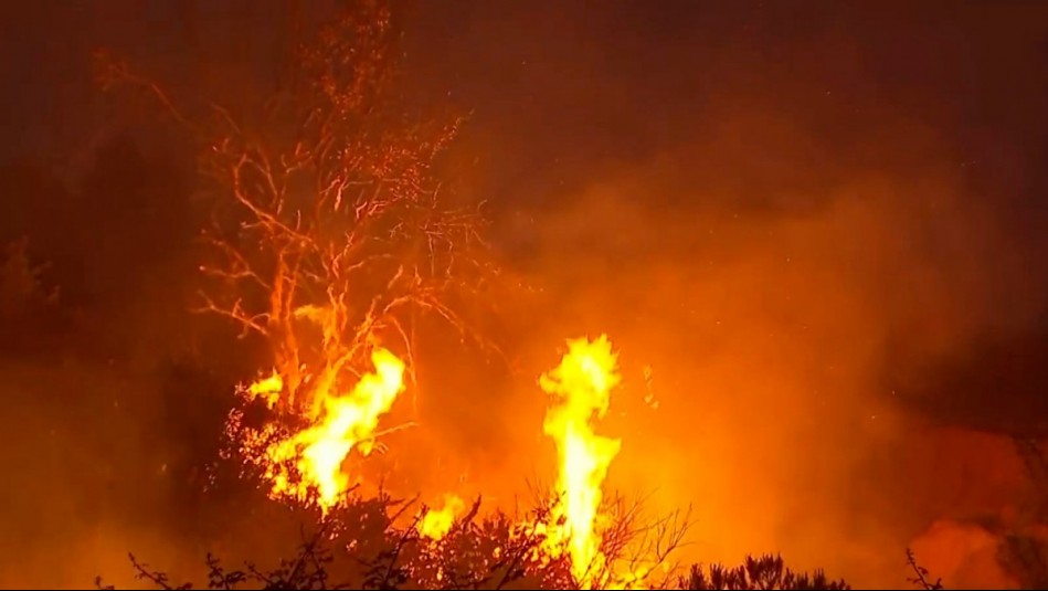Más de 1.800 hectáreas arrasadas por incendio forestal en San Pedro: Nube de humo cubre a la RM