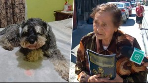 'Vale más la vida de un perro que la mía': Adulta mayor denuncia amenazas tras fallo por ladridos de mascota