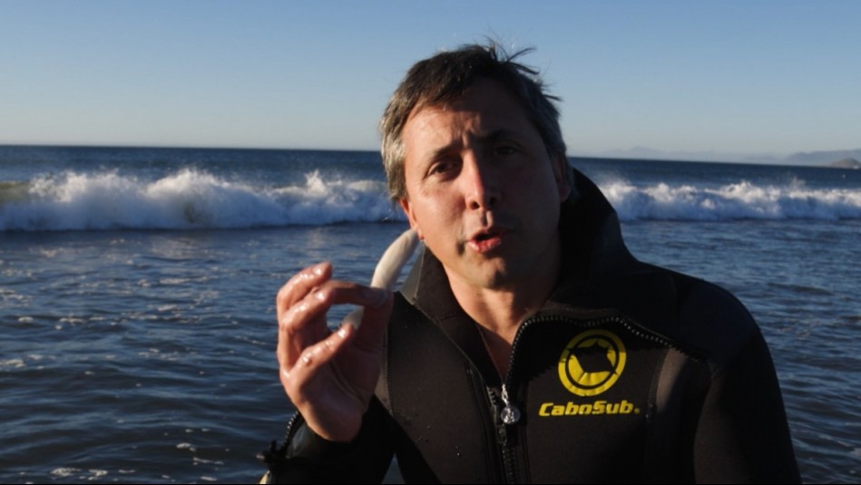 Del Mar al Paladar - Temporada 2 - Capítulo 7: La macha chilena