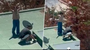 Detienen a pareja que lanzó polluelos de gaviota al vacío en Maitencillo: Luego fueron dejados en libertad