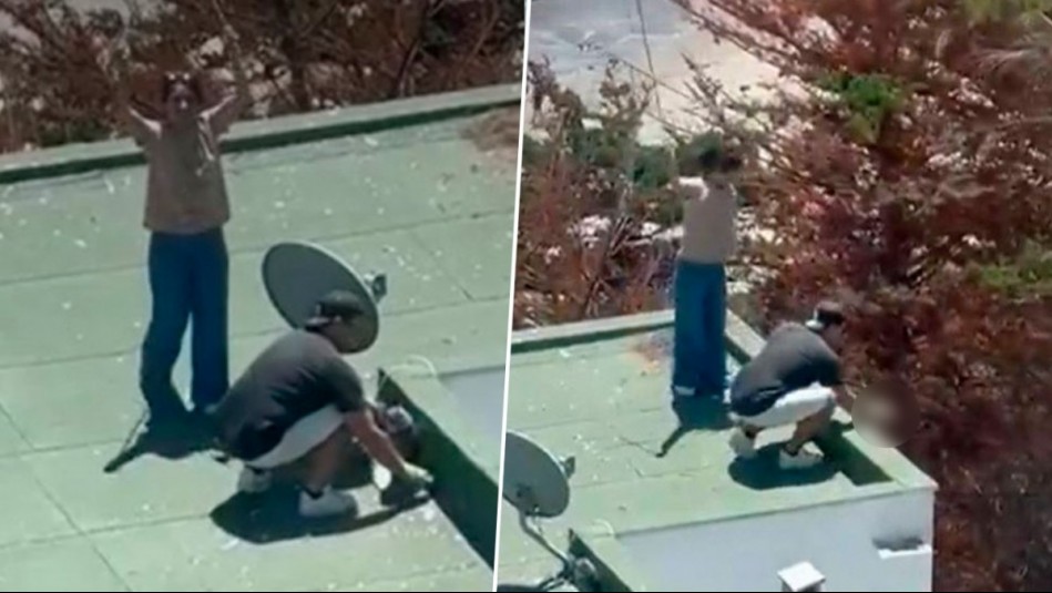 Detienen a pareja que lanzó polluelos de gaviota al vacío en Maitencillo: Luego fueron dejados en libertad