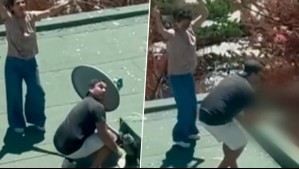 Repudio por pareja que fue captada lanzando polluelos desde azotea de condominio en Maitencillo