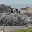 Mira acá los videos que muestran la imprudencia de turistas en Cobquecura, traspasando los límites de un Santuario de la Naturaleza donde hay lobos marinos.