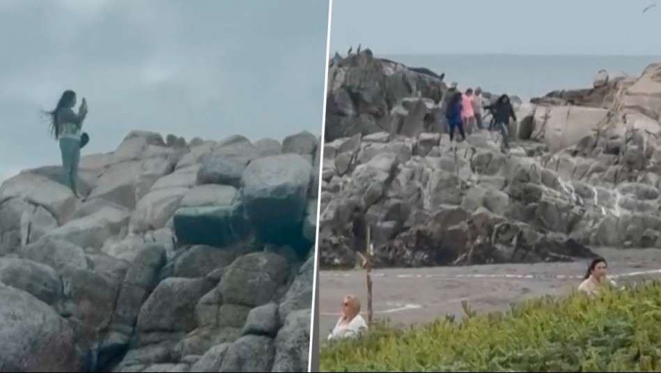 Por la foto para el 'recuerdo': Indignación por turistas que invaden santuario de lobos marinos en Cobquecura