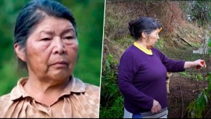 Intentó evitar robo a adulto mayor: Así habría ocurrido crimen de Julia Chuñil por parte de uno de sus hijos