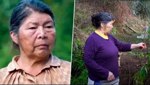 Intentó evitar robo a adulto mayor: Así habría ocurrido crimen de Julia Chuñil por parte de uno de sus hijos