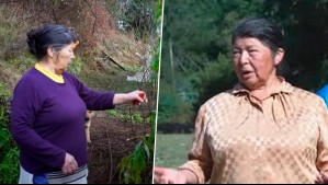 ¿Hubo pacto de silencio entre hijos de Julia Chuñil? Exyerno habría roto acuerdo familiar