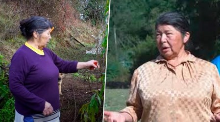 ¿Hubo pacto de silencio entre hijos de Julia Chuñil? Exyerno habría roto acuerdo familiar