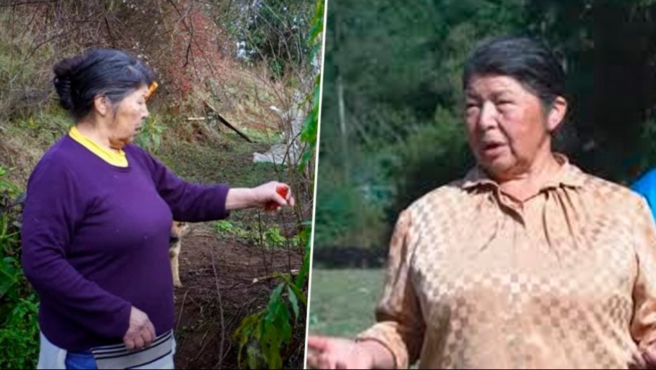 ¿Hubo pacto de silencio entre hijos de Julia Chuñil? Exyerno habría roto acuerdo familiar