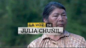 'Disculpas por lo que hizo': Revelan audios sobre crudo crimen que cometió hijo de Julia Chuñil hace 10 años