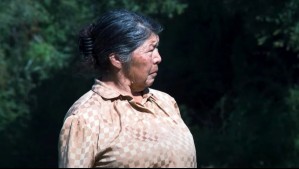 Nuevo hallazgo en caso de Julia Chuñil: Encuentran sangre humana en bodega y herramientas de su domicilio