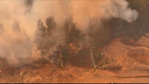 Ruta cortada y focos reactivados: Preocupación en Florida por incendio forestal que amenaza a zonas pobladas