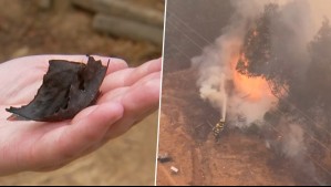 ¿Qué son las pavesas? El enemigo 'invisible' que influye en la propagación de incendios forestales