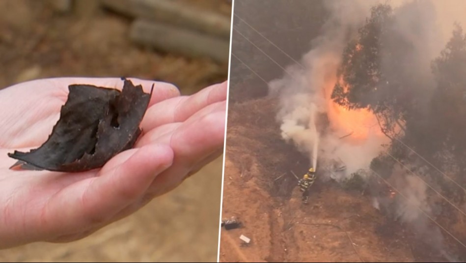 ¿Qué son las pavesas? El enemigo 'invisible' que influye en la propagación de incendios forestales