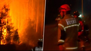 '¡Salga, salga!': Bomberos debieron evacuar de emergencia tras reactivación de foco de incendio en Concepción