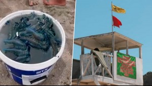 Alerta en litoral central: Detectan fragata portuguesa y cierran playas de Cartagena, El Tabo y Santo Domingo