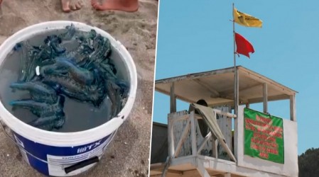 Alerta en litoral central: Detectan fragata portuguesa y cierran playas de Cartagena, El Tabo y Santo Domingo