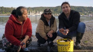 Del Mar al Paladar - Temporada 2 - Capítulo 10: Las navajuelas, un preciado marisco del sur de Chile