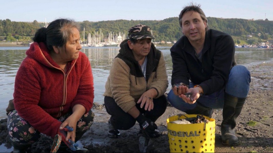 Del Mar al Paladar - Temporada 2 - Capítulo 10: Las navajuelas, un preciado marisco del sur de Chile