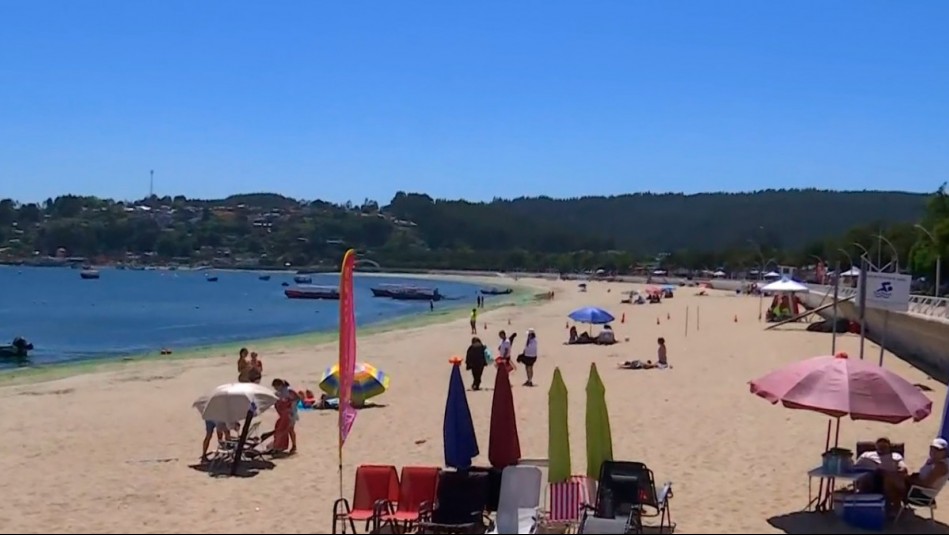 Turismo en Dichato se resiente tras incendios forestales: Comerciantes llaman a visitar la zona