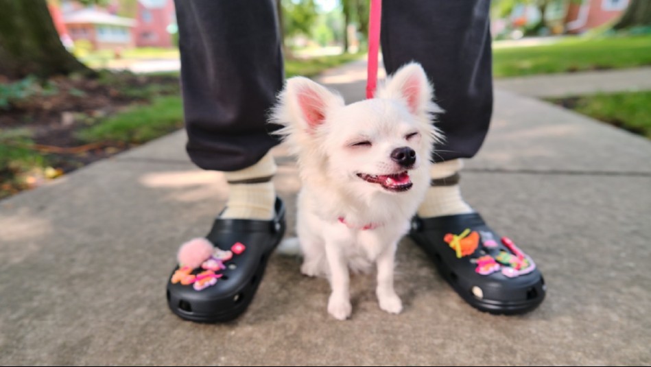 'Tecnología, diseño y duración': ¿Cuáles son los factores que influyen en el precio de las Crocs?