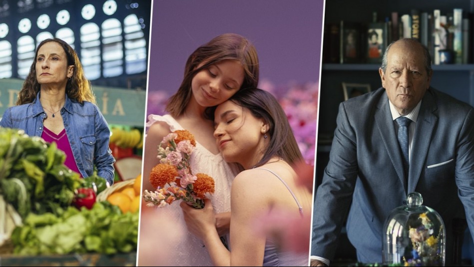 ¡Felicitaciones a todos! Conoce a los actores y actrices de Mega que triunfaron en los Premios Caleuche 2026