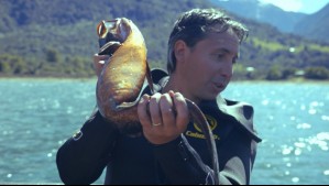 Del Mar al Paladar - Temporada 2 - Capítulo 11: La ruta del congrio