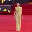 Vanesa Borghi destacó en la Gala Viña 2026 con un look que potenció su presencia en la alfombra roja. Conoce los detalles de su vestuario y cómo seguir la transmisión completa del evento en vivo y online.
