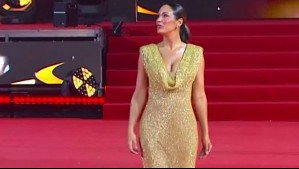 Vanesa Borghi deslumbra en la Gala Viña 2026 con un look lleno de color, brillo y elegancia