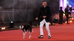 La alfombra roja es amigable con el medio ambiente: Esta es la tecnología que usarán en la Gala de Viña 2026
