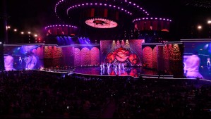 EN VIVO: Sigue la señal con lengua de señas del Festival de Viña