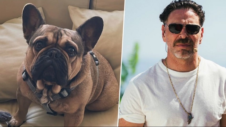 Está en coma inducido: José Antonio Neme enfrenta duro momento con su perrito Frodo