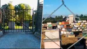 Entre rejas y panales de abeja: Madre e hija acusan a familiar de encerrarlas en su casa en Buin