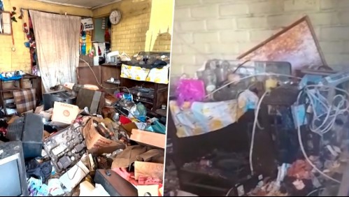 Basura, roedores y malos olores: El drama que viven vecinos por adulta mayor que padece síndrome de Diógenes