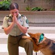 Revive acá la tierna visita de la unidad canina de Carabineros al Mucho Gusto.