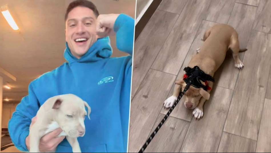 'Me están funando porque la tratamos mal': Sammis Reyes enfrenta críticas por comportamiento con su mascota