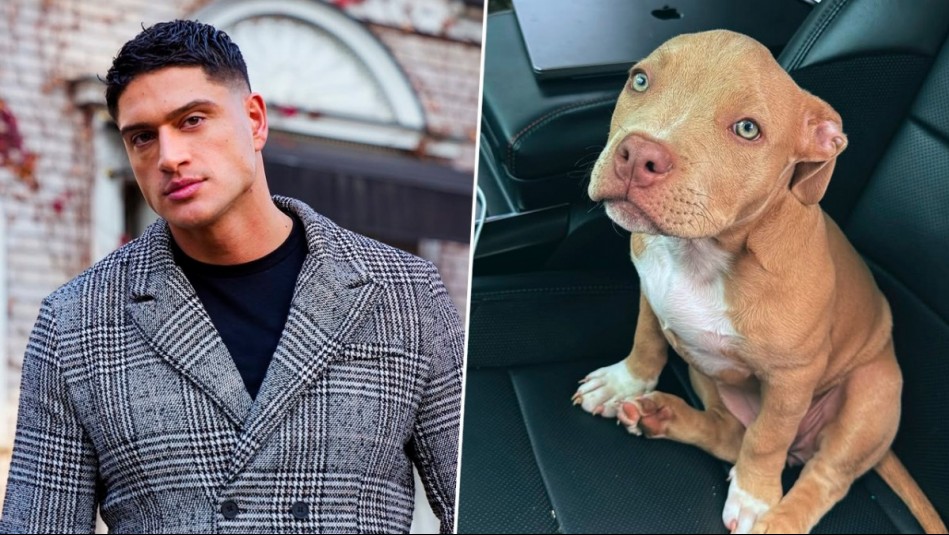 'Estoy aprendiendo yo también': Sammis Reyes se disculpó por polémico video con su perrita y admitió error